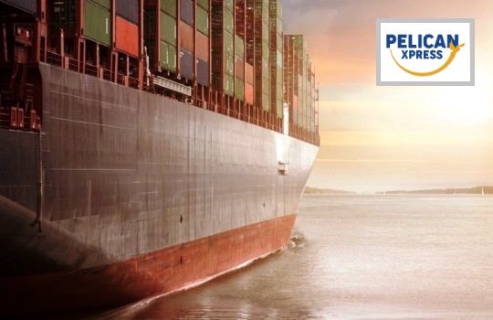 Mengenal Pelican Xpress, Jasa Forwarder China Terpercaya dan Bisa Diandalkan